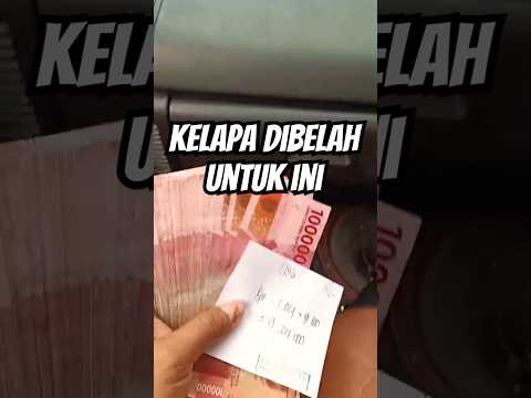 Apakah Kelapanya di belah saja #kelapa #pertanian #buah