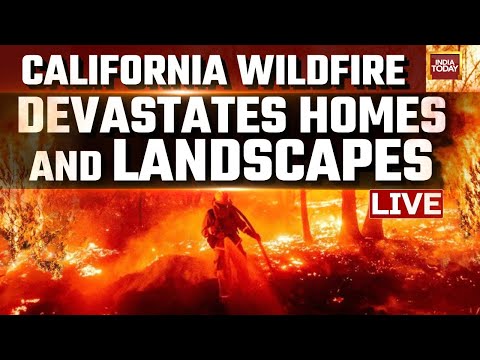 California Wildfires LIVE: Wildfire Destroys Land And Lives | LA Wildfire Updates| US News