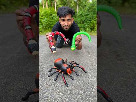 Red Green Snake and Remote Control New Spider