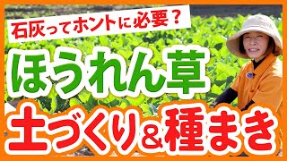 【ほうれん草の育て方】土づくり・種まき・発芽まで失敗しないコツをわかりやすく解説！【農園ライフ】