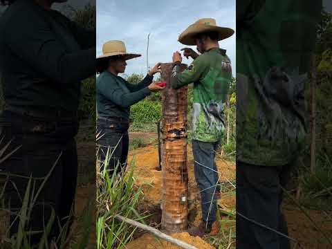 20 de outubro de 2025