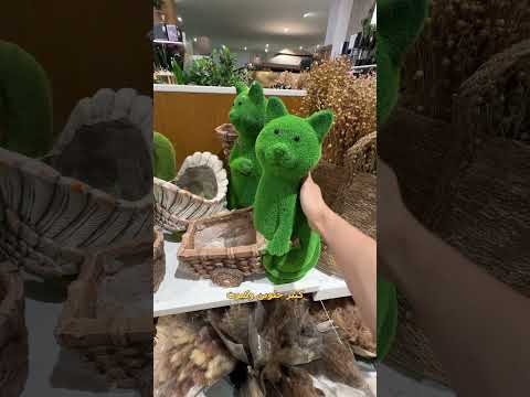 يومي ال11 بالامارات | وأخيرا لقينا مفروشات للبيت