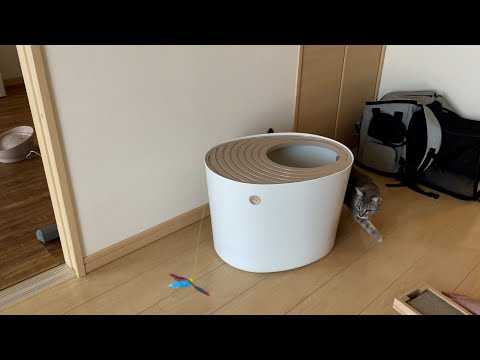 時計回りすぎるだろ...