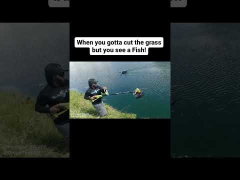 Weed Eater Fishing Rod