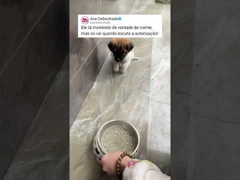 Ele aprendeu desde cedo ❤️👏