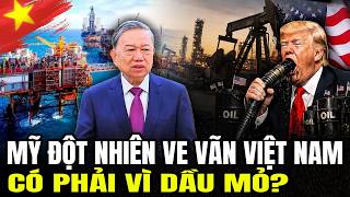 Mỹ Đột Nhiên Ve Vãn Việt Nam: Có Phải Vì Dầu Mỏ? | Lịch Sử Quân Sự