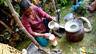 shepherd life of Nepal || Himalayan life in Nepal || @shepherdlifeofnepal