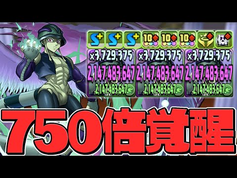 リーダースキル900倍×覚醒750倍の超火力！メルエムが強い！無効貫通+4色陣の無限ループ！【パズドラ】