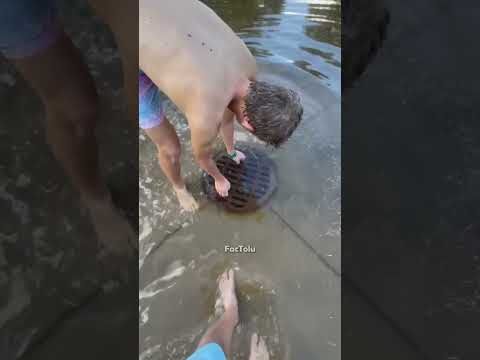 Whatโs Hiding in the Drain? ๐ฑ๐ณ๏ธ