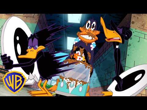 Lavando o carro alegórico e chorando | Looney Tunes em Português 🇧🇷 | @WBKidsBrasil​