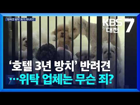 ‘호텔 3년 방치’ 반려견…위탁 업체는 무슨 죄? / KBS  2026.09.09.