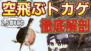 CTスキャンで判明！2億6000万年前の「空飛ぶトカゲ」の驚きの飛行システム【古知累すすむ/恐竜研究者/Vtuber】