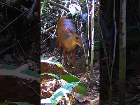 Mateirรฃo Grande!!!