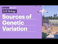 Genetic Variation and Evolution Concepts