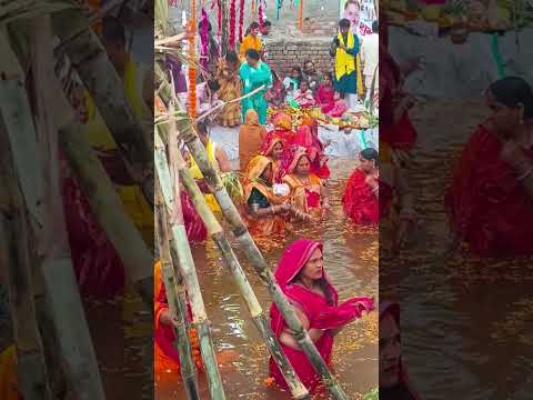 Jay Chhath Maiya 🌼❤️🙏| Chhath Puja 2025 status #trending #shortvideo #latest video