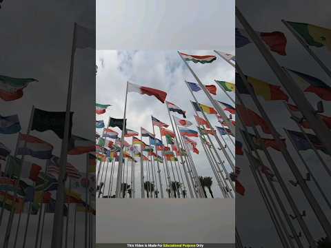 ১৯৫টি দেশের ভেতরে কেন কেউ এই রঙের পতাকা তৈরি করতে পারল না? by Factbong