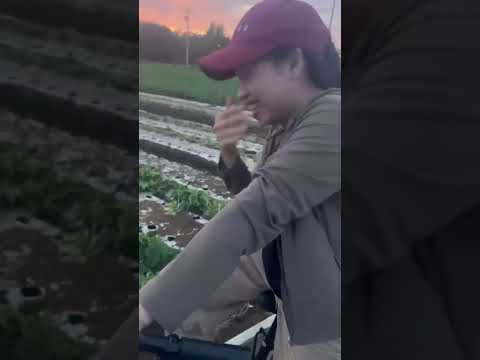 ngày 20 tháng 10, 2025