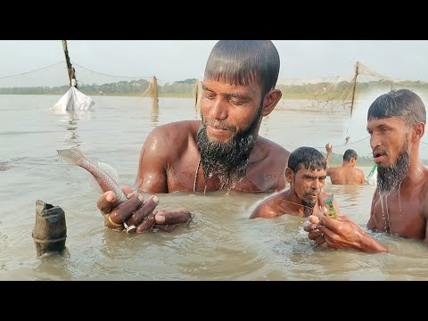 কনকনে ঠান্ডার মধ্যে জেলেদের সাথে গলা সমান পানিতে নেমে মাছ ধরলাম। winter season 2024। Jungle fishing