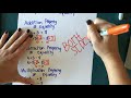 Exploring the Properties of Equality