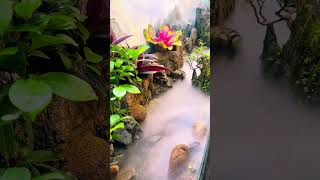 Phần cuối: Biến ban công xấu xí thành nơi để chill #phieudubonsai #bancony