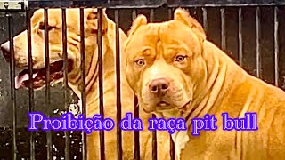 Proibição da raça pit bull em Santa Catarina e em breve no país