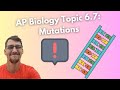 Genetic Mutations and Their Effects