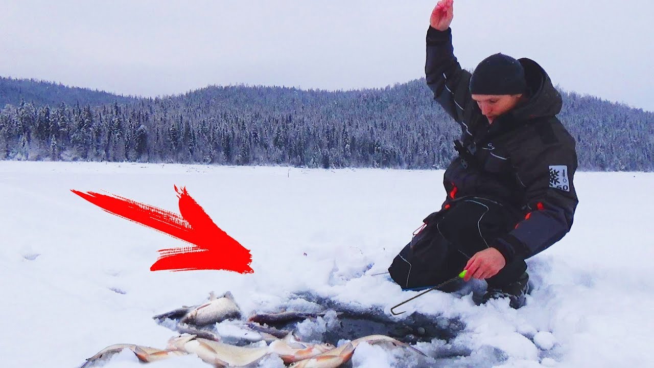Не могу поднять! Красная леска рулит! Зимняя рыбалка на безмотылку (чёртик)