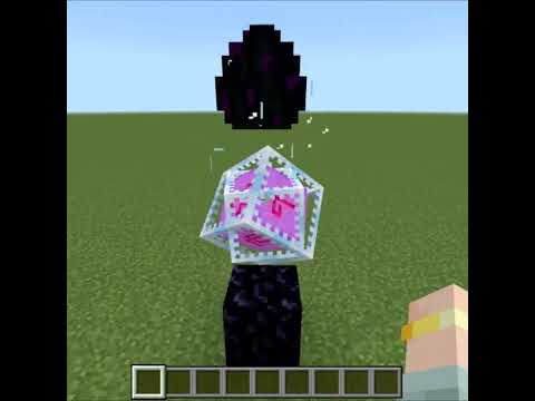 猫の動画サムネイル - マインクラフトで不思議なこと【エンドクリスタル編】