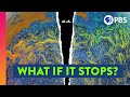 Understanding Ocean Currents and Climate Change