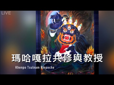 瑪哈嘎拉共修 Khenpo Tsulnam Rinpoche（完整版）慈囊仁波切主法  2/27 ‪