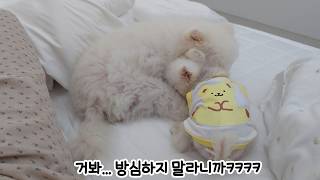 動画サムネイル