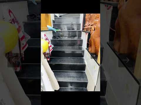 #nhapho #tanbinh #giathuongluong #thienchi #aloalo #vunamnhadatdst