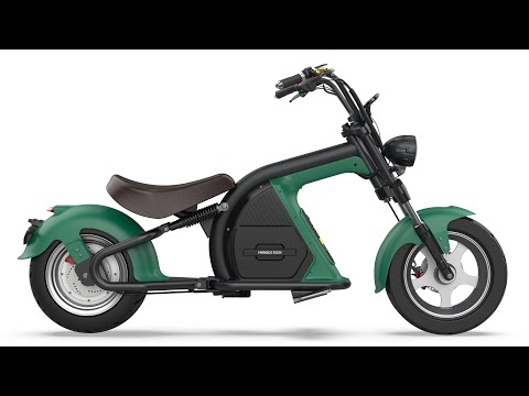 Citycoco throttle, how to change the Citycoco chopper electric scooters throttle Rooder mangosteen