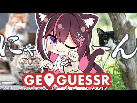 【GeoGuessr】今日は猫の日！にゃ～ん【ホロライブ / AZKi】