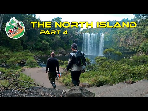 North Island NZ Road Trip 🥝 Part 4: Northland