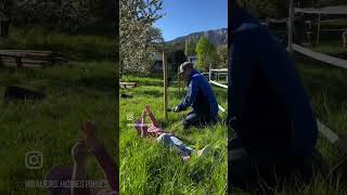 Die ultimative All-in-One Location! 🏔️🐎 Authentischer UGC-Content aus Österreich #ugccreator