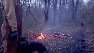 9 Gruselige Videos Von Campern