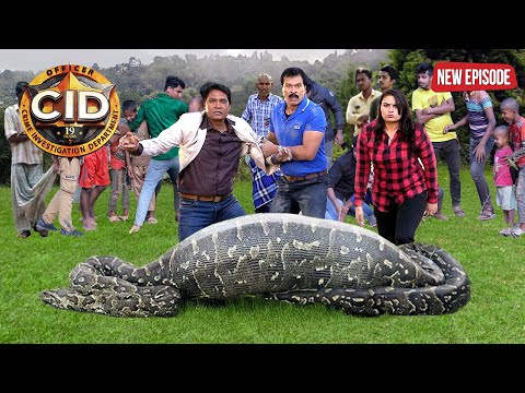 जब एक Anaconda सांप ने निगल लिया Dr Tarika को | CID | Serial Latest Episode