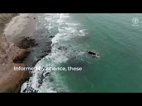 YouTube video thumbnail: Tides of Change: From Local to National Coastal Marine Governance in Chile