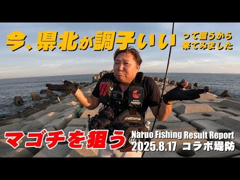 みんなに県北がいいよ！って言われたのでヒラメ・マゴチ狙いで夕マズ目の短時間勝負したら・・・