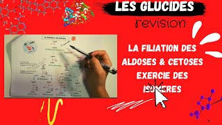 🔥 Révision la filiation des Aldoses & Cétoses, isomères avec des exemples et exercice #BIOCHIMIE