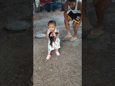 NANGHULI NA NG MANOK E FIGTH DAW SA DUCK #shorts #baby