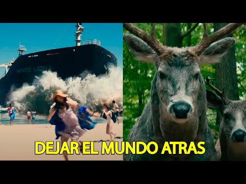 Dejar El Mundo Atras Un Barco se Estrella y Los Animales Enloquecen - Resumen Breve