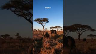 Wild outside. World-class inside