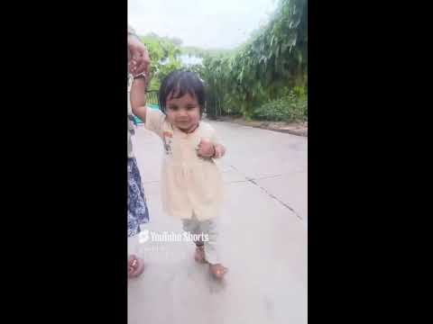 Funny videos
