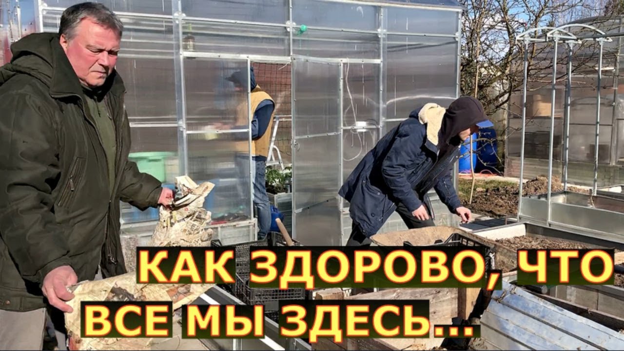 Сидим дома, сажаем, пересаживаем, работа кипит!