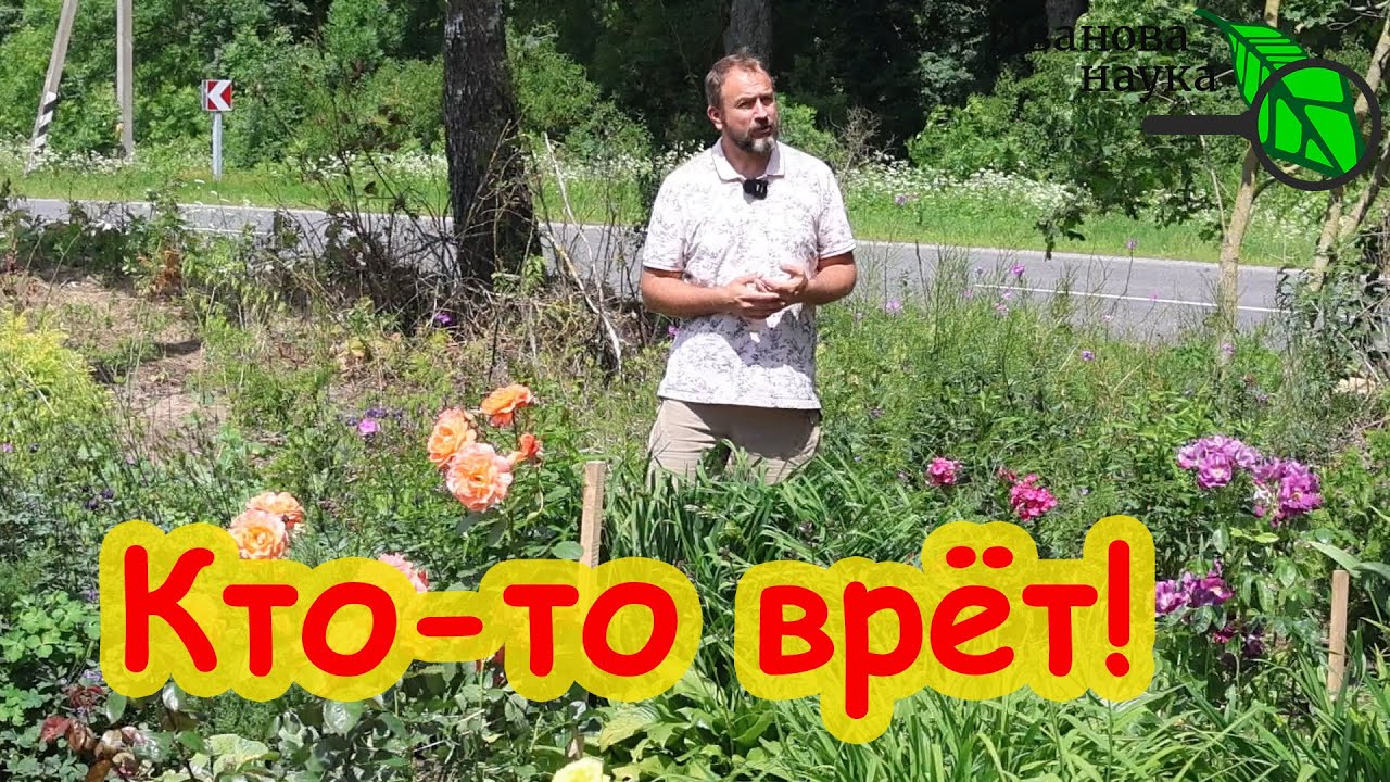 Шок! Вот как пришла популярность! Зрители в опасности! В telegram сплошной обман!