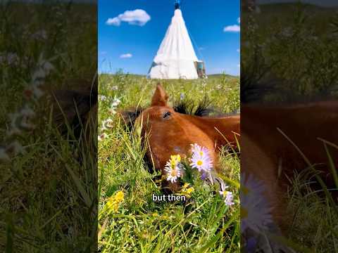 A bond beyond death #shorts #horse #animals #heartwarming #love #cute #pet