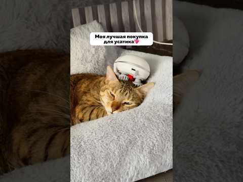 Артикулы на Яндекс Маркет: YM10084783