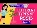 Types of Root Systems in Plants